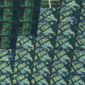 Meet your Posher, Mary ann